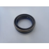 USZCZELNIACZ PIASTY FARMTRAC 675 45x60x16 D10085220, P5030700202