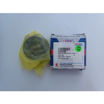 ŁOŻYSKO ZWOLNICY DOLNE FARMTRAC D10625920