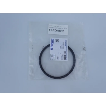 USZCZELKA POMPY WODY - DE - FT 9120 DTN 412174