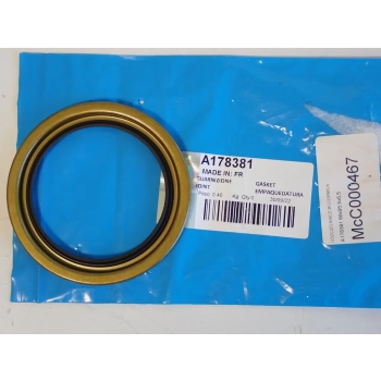 USZCZELNIACZ MCCORMICK 68x95,5x6,5 A178381